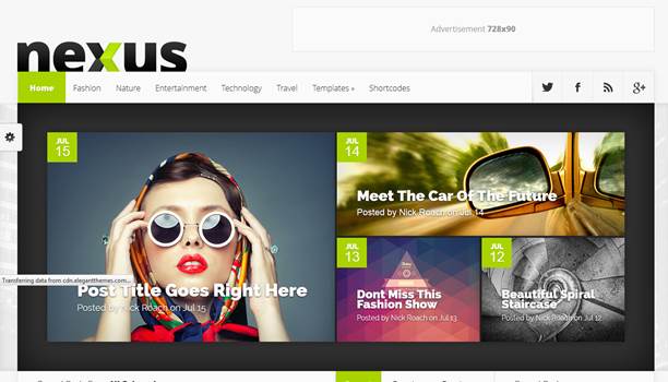 Nexus WordPress Theme