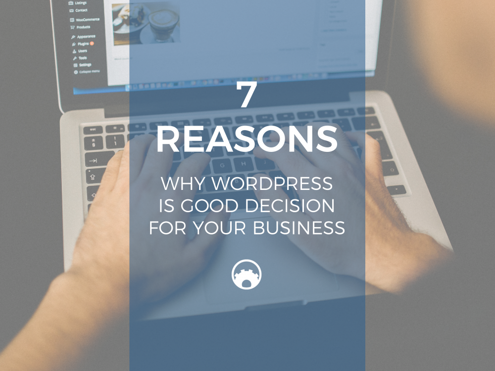 function-themes-7-reasons-why-wordpress