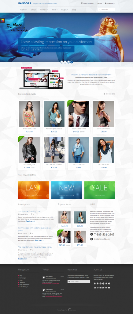 Pandora: Responsive WooCommerce HTML5 Theme