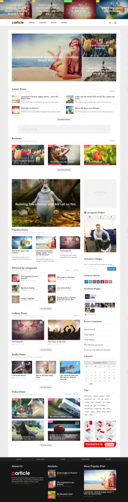 Particle: WordPress Magazine Theme