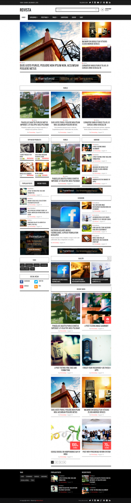 Revista: Ultimate Flat Magazine WordPress Theme