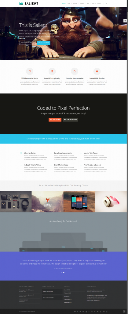 Salient - Responsive Multi-Purpose Theme