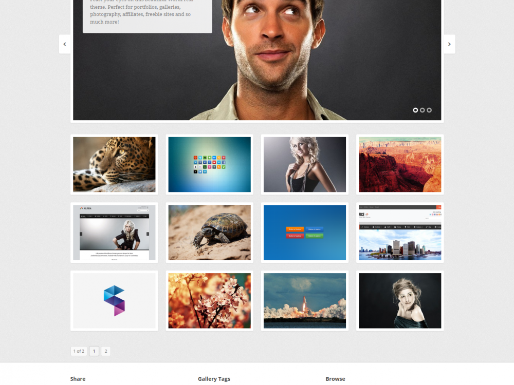 Share: Gallery, Photos, Freebies WordPress Theme