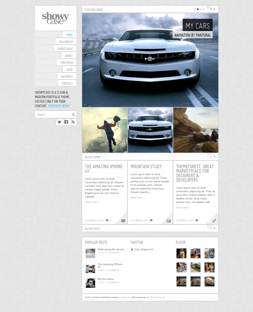 ShowyCase: Portfolio / Photography WP Theme 